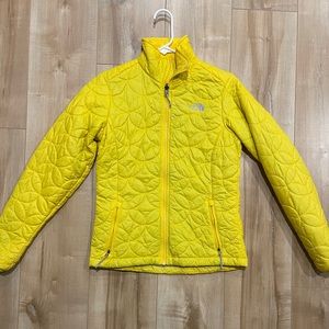 The north face down jacket